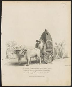 An Indian hackeree drawn by Guzerat oxen : with the costume of different casts in Hindostan